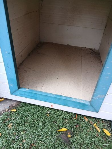 dog kennel