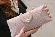 Champagne Clutch