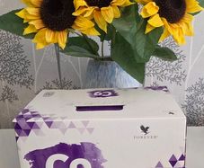 forever c9