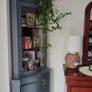 house plants Image 4