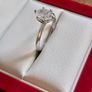 Diamond Ring White Gold Full Documentation Image 4