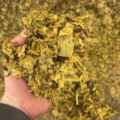 Maize silage