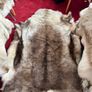 deer skin Image 5