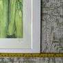Watercolour - Stacked Courgettes Image 4