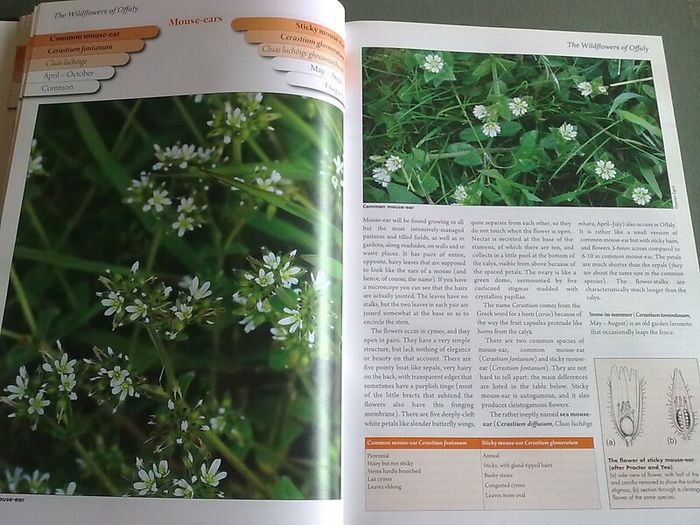 The Wildflowers of Offaly by John Feehan Ireland Irish