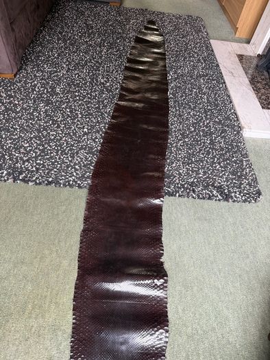 Snake Skin