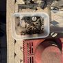 Vintage Honda e300 generator (dismantled) Image 7