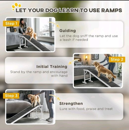 pet ramp