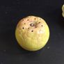 Superb Vintage Five Piece Fruit-Shaped Cruet Set with Yellow Plastic Spoon in Excellent Condition Image 10