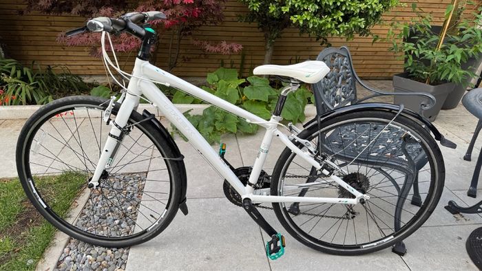 Trek 7.3 FX Bike