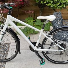Trek 7.3 FX Bike