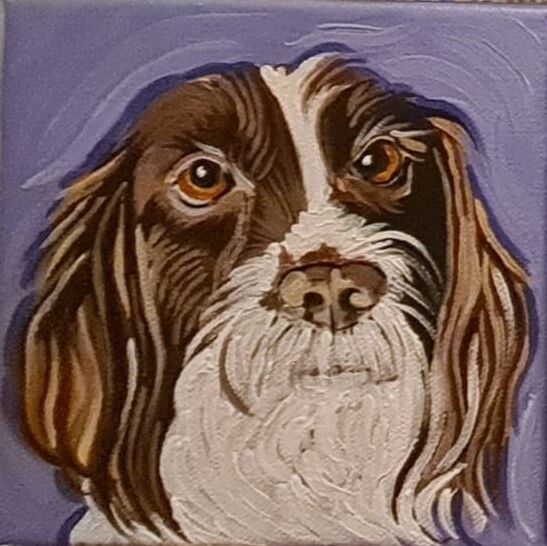 Pet Portraits