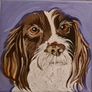 Pet Portraits Image 3