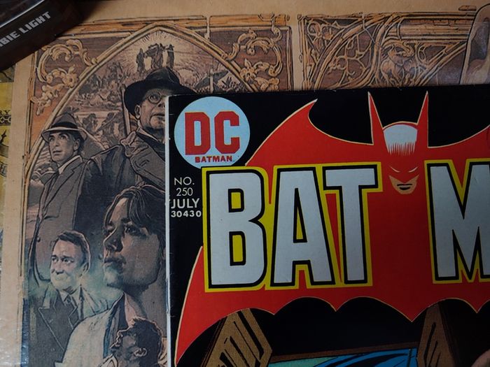 Batman ! Issue #250 ! Very Nice, Clean Copy ! Bronze Age Comic from 1973 ! by DC Comics !