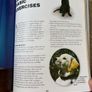 Vintage Book Puppy Training the Guide Dogs Way Image 9