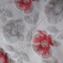 Curtain Image 2