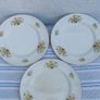 Arklow Pottery Floral Plates x 3 Image 2