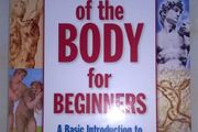 The Theology of the Body for Beginners.