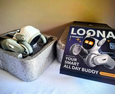 Loona robot pet