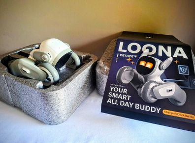 Loona robot pet