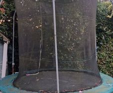 Trampoline