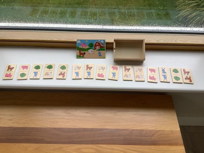 Wooden dominos & shape colour matching.