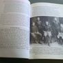 The Easter Rising A guide to Dublin in 1916 Image 3