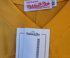 Vintage Pittsburgh Steelers - Rod Woodson 75th anniversary Throwback jersey
