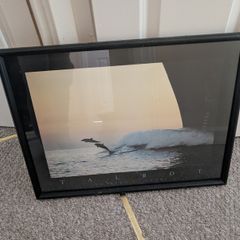 Picture in frame