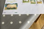 First Day Cover - Fauna and Flora 1991