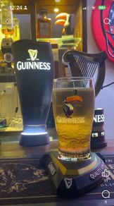 guinness settling stand