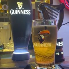 guinness settling stand