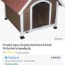 dog Image 4