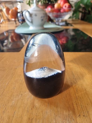 Caithness Scottish glass paperweight