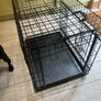 Dog crate Image 4