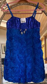 Girl (Age 13) Royal Blue Occasion Dress NWT
