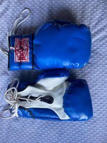 SRS MuaiThai/Boxing Gloves + Headpiece