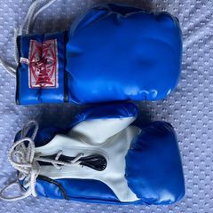 SRS MuaiThai/Boxing Gloves + Headpiece