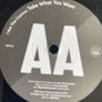 I am the cosmos Take what you want picture sleeve vinyl record single in vg+ condition Image 2