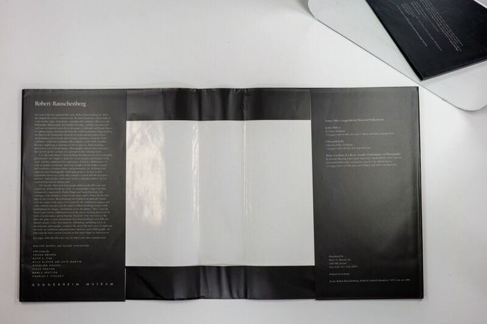 Robert Rauschenberg A Retrospective by Walter Hops and Susan Davidson