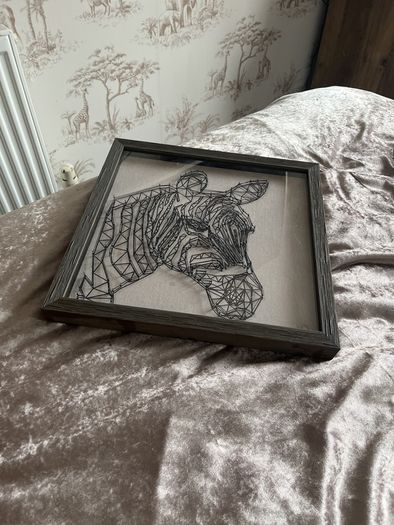 picture frames