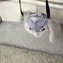 NEW fluffy rabbit bag Image 2