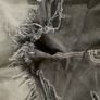 Ladies Denim Shorts Image 4