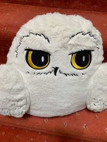 Harry Potter Hedwig Cushion