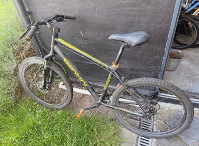 3 x Bikes