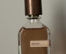 Orto Parisi - Brutus