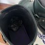 Brand new Burberry Ladies Roper Boot Size 5 Image 10