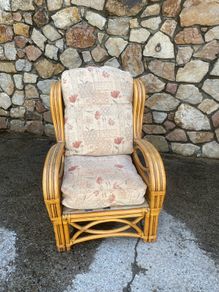 Sunroom couch and chair suit conservatory