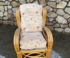 Sunroom couch and chair suit conservatory