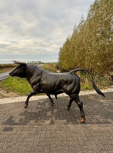 Life Size Bronze Bull Sculpture